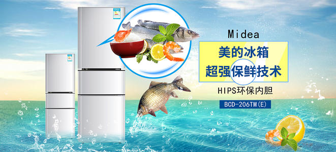 马尔凯理工大学经济学文凭证书